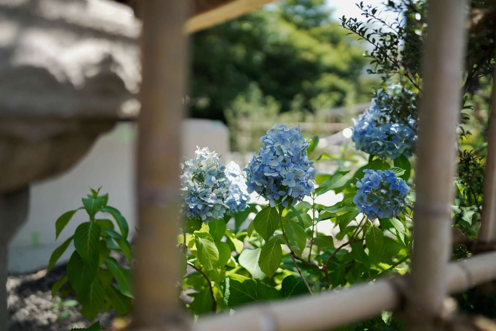 その他の乾癬治療法