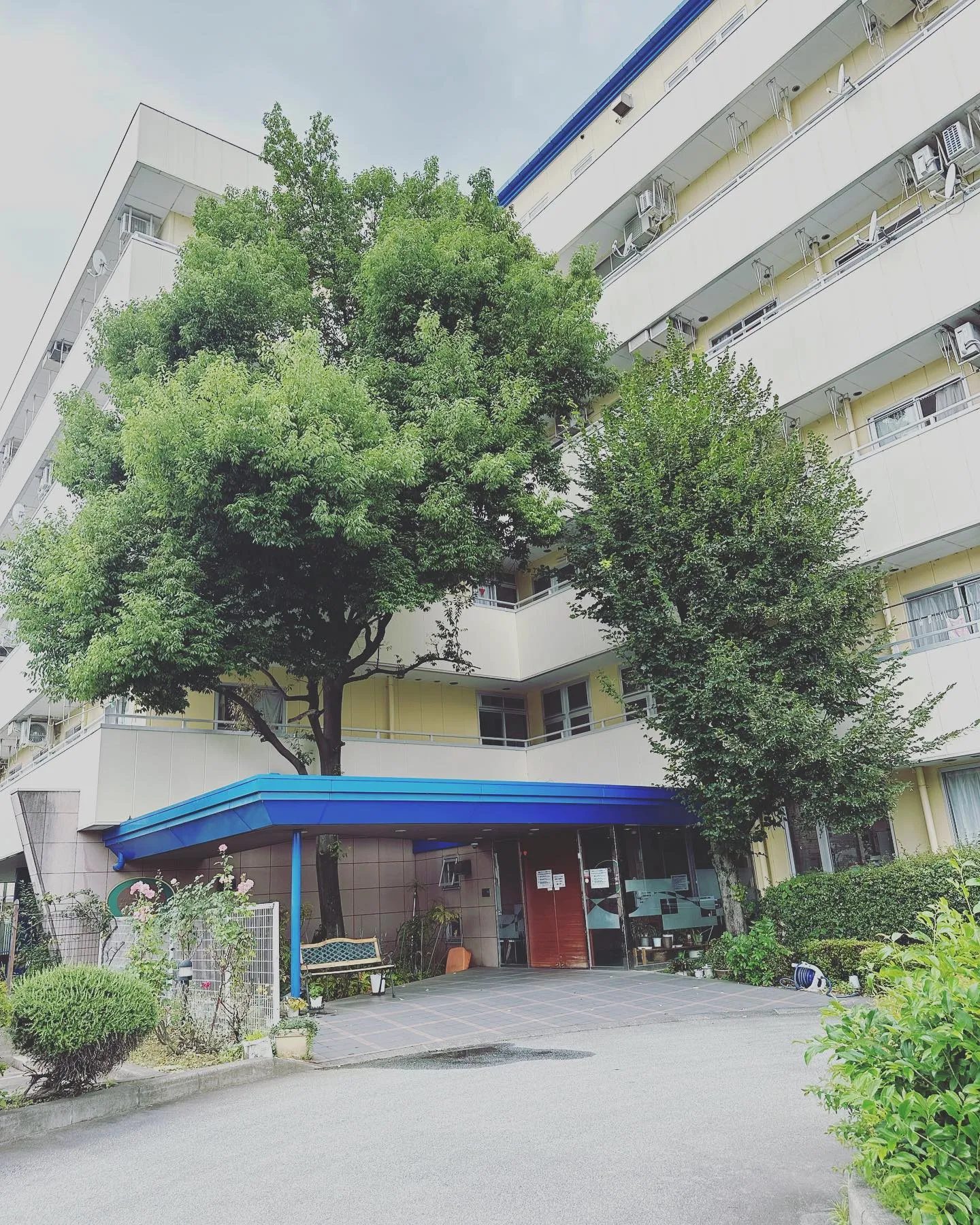 今回は笛吹市にて高木伐採🌲