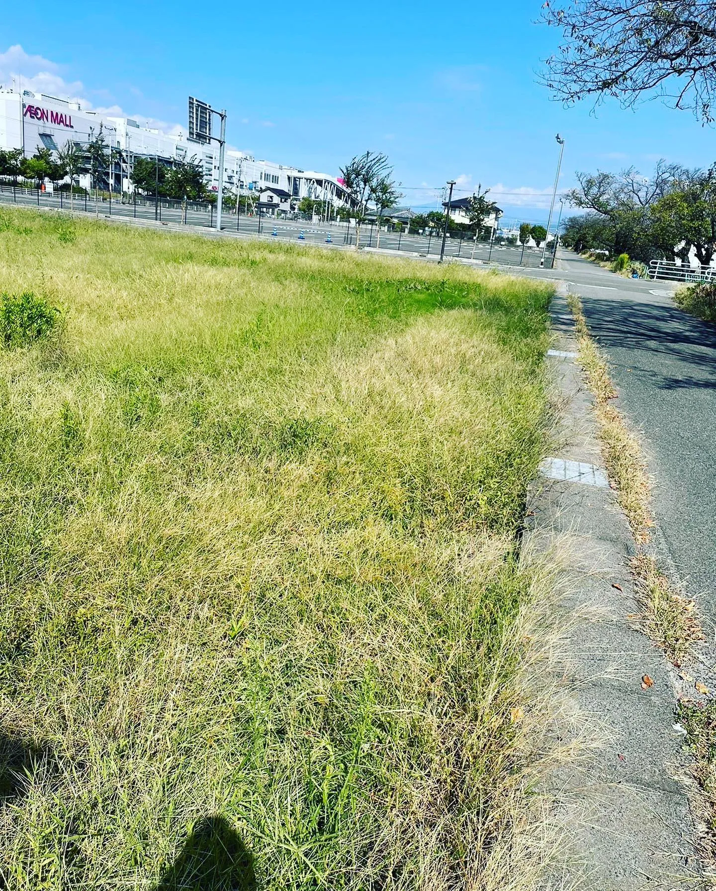 今日は2200m2草刈りまくりました！！