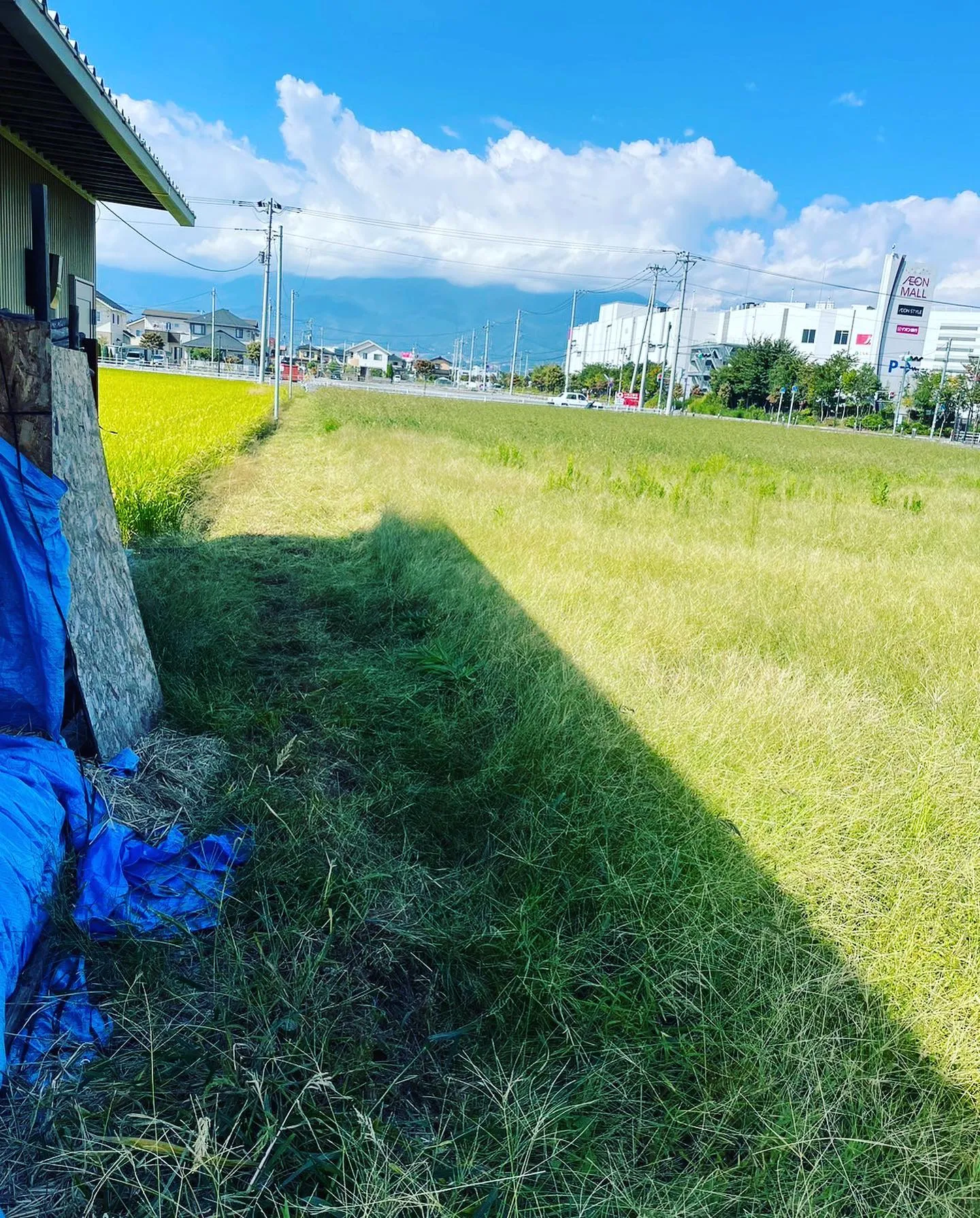 今日は2200m2草刈りまくりました！！